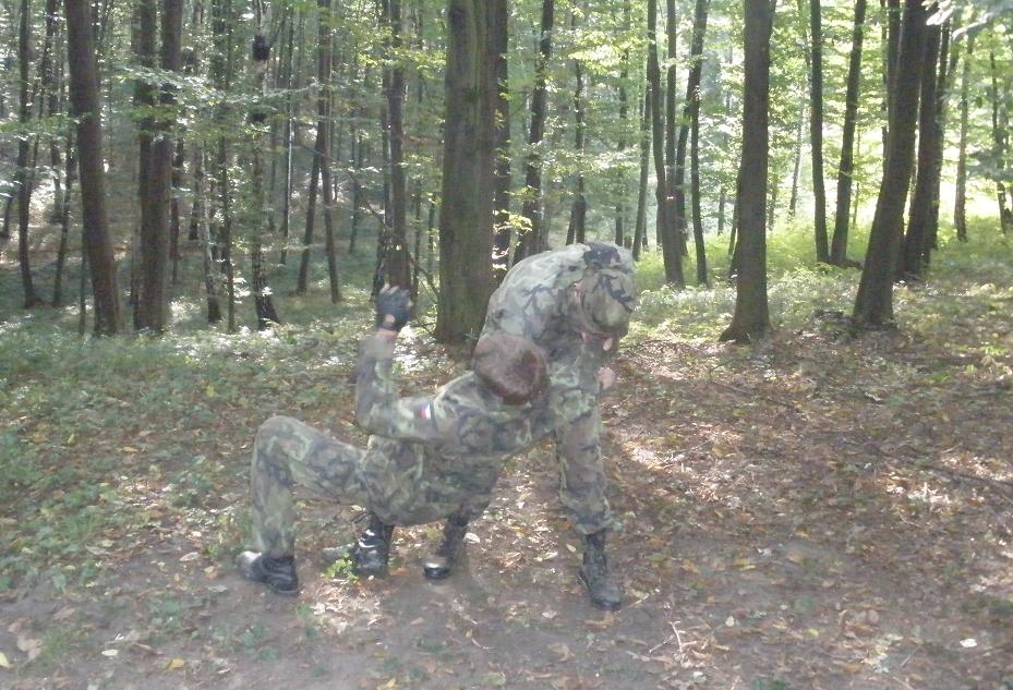 2.JPG
