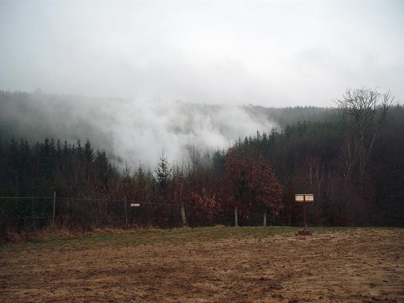 DSCF3764.jpg