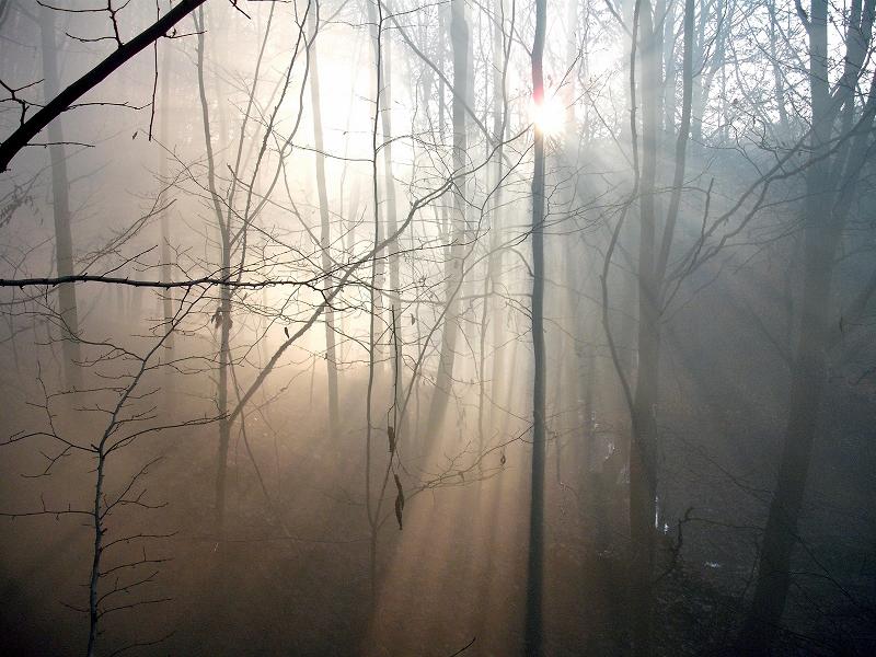 DSCF3785.jpg